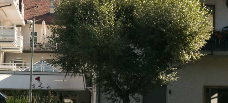 黄金莱斯酒店(Hotel Goldenes Roessl-Adults Only)图片