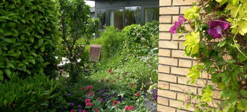 克林索姆民宿(Klintholm B & B Bistro)图片