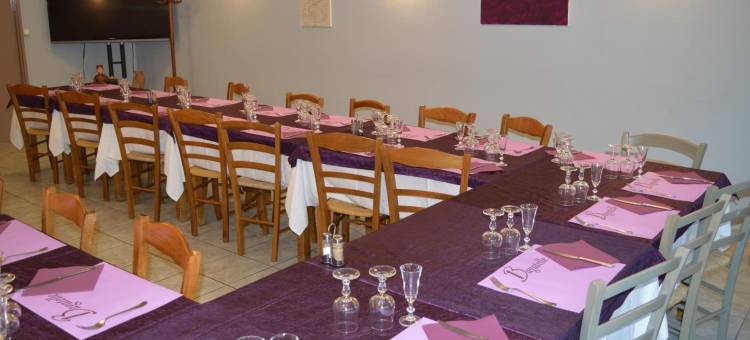 罗基斯巴格特尔酒店- 51530 迪斯(Logis Prim'Hôtel Bagatelle)图片