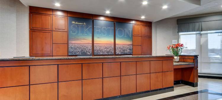 塞克斯顿德鲁套房酒店(Drury Inn & Suites Sikeston)图片