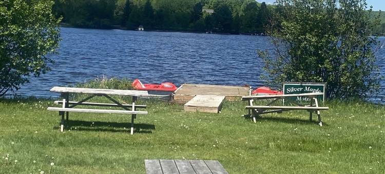 Silver Maple汽车旅馆(Silver Maple Motel)图片