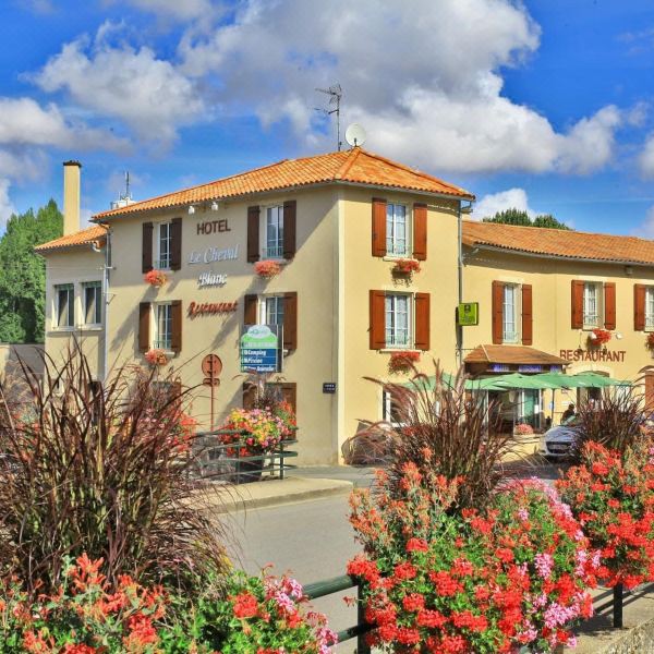 国际之家白马与克洛维酒店(Logis Hôtels & Restaurant le Cheval Blanc et Clovis)图片