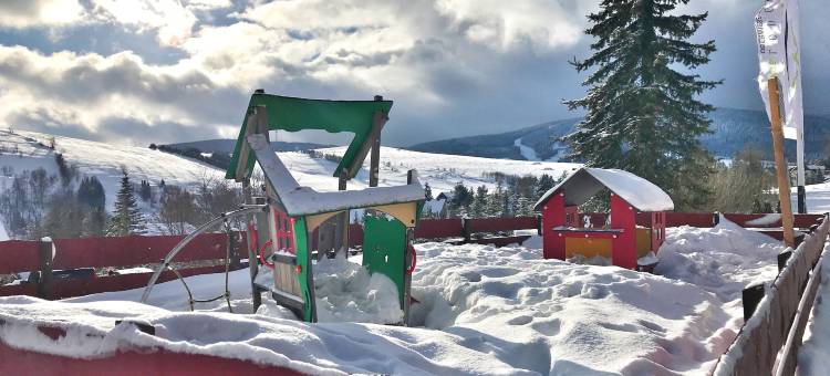 阿尔皮娜阿泊文森特山林小屋(Alpina Lodge Hotel Oberwiesenthal)图片