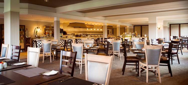 河边阳光(Riverside Sun)图片