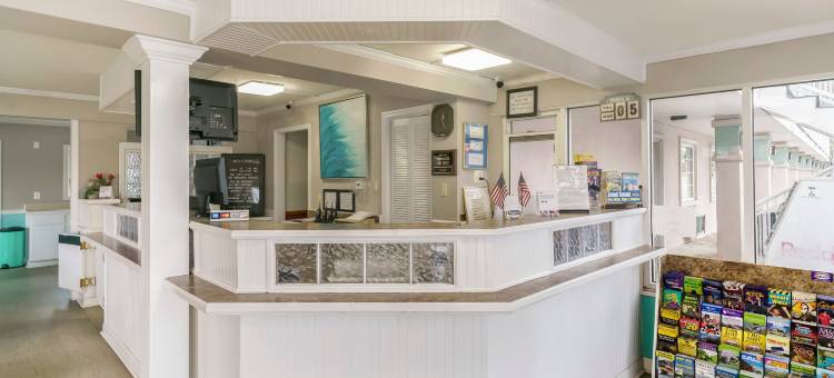 OYO默特尔比奇国王高速公路酒店(OYO Hotel Myrtle Beach Kings Hwy)图片