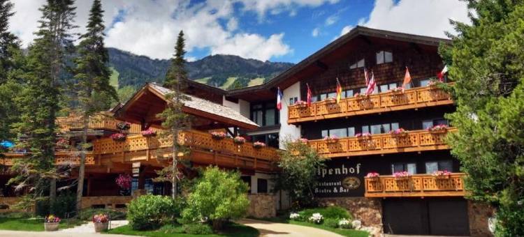 阿尔彭霍夫酒店(The Alpenhof)图片