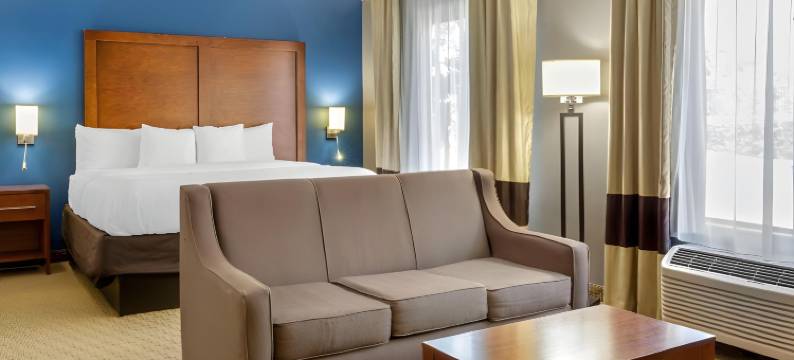 加纳克莱顿I-40舒适酒店(Comfort Inn Garner Clayton I-40)图片