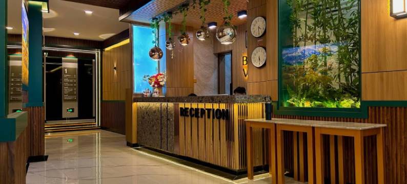 博纳文图拉酒店及天台酒吧(Bona Ventura Hotel & Skybar)图片