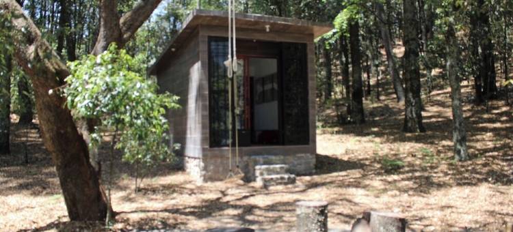 Cabin immersed in 1 hectare of forest. Maximum Internet power (Starlink)图片