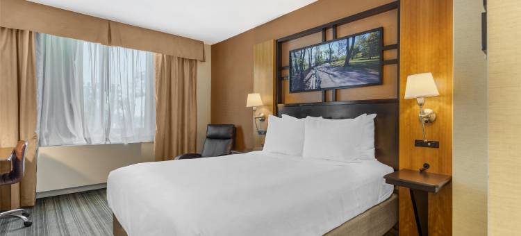 贝塞德贝斯特韦斯特酒店(Best Western Queens Gold Coast)图片