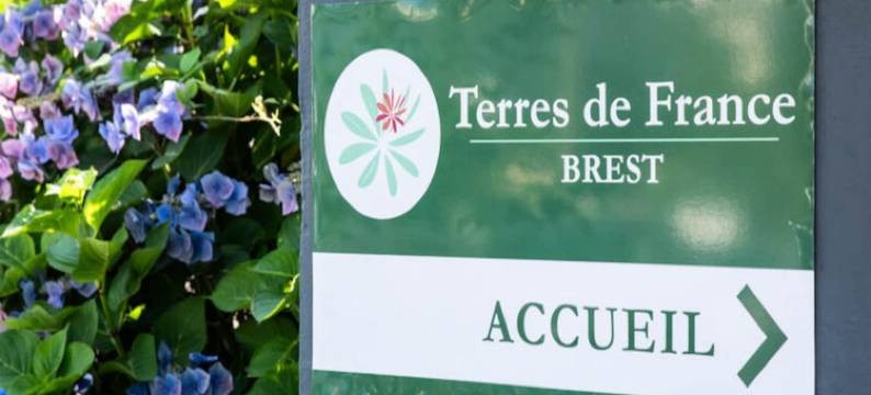 2 Room Apartment 4 People图片