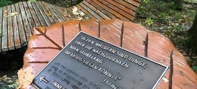 阿尔特蒙特约酒店(Hotel Alt Montjoie)图片