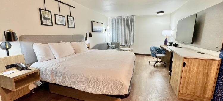 斯尔西大学附近的舒眠酒店及套房(Sleep Inn & Suites Searcy Near University)图片