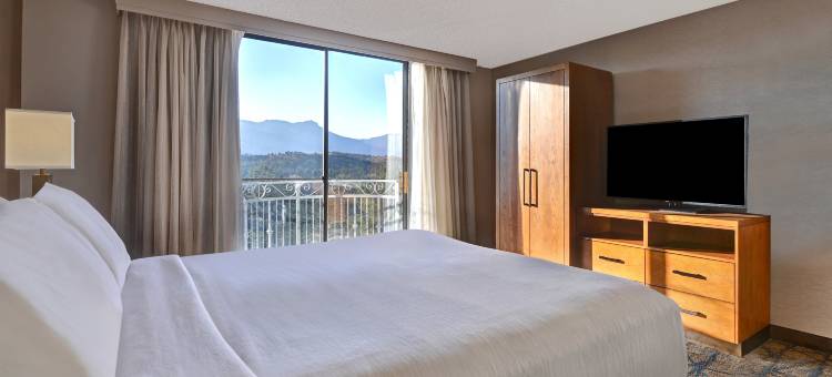 科罗拉多斯普林斯希尔顿安泊酒店(Embassy Suites by Hilton Colorado Springs)图片