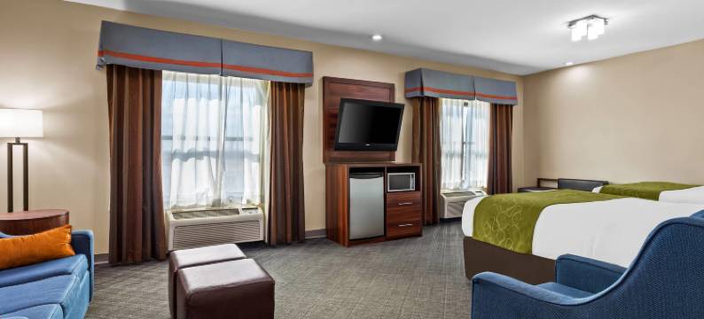 舒适套房酒店(Comfort Suites)图片