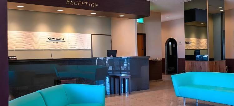 新盖亚酒店-丝岛(Hotel New Gaea Itoshima)图片