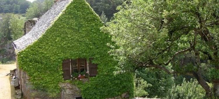 欧布拉克的浪漫情调(Aux Caprices d'Aubrac)图片