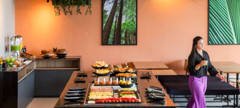 宜必思图巴朗酒店(Ibis Tubarão)图片