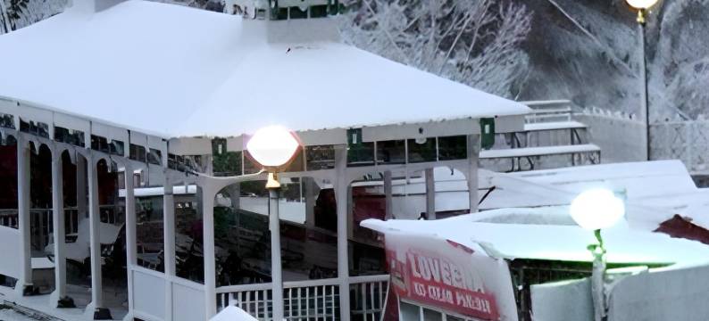 瓦伊库恩斯酒店(Hotel Vaikunth)图片