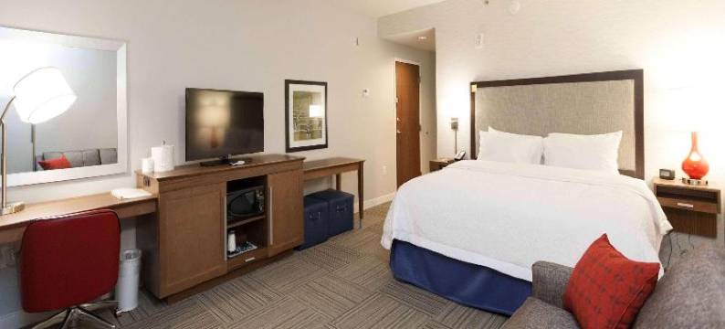 艾默生湖滨欢朋酒店(Hampton Inn Emerson LakePoint)图片