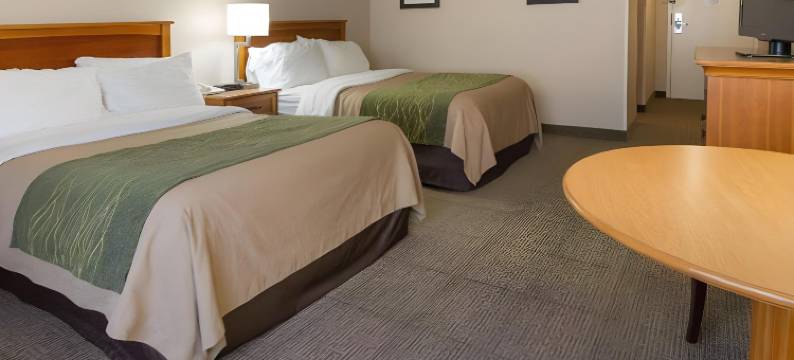 舒适酒店及套房锡拉丘兹-凯瑞尔圈(Comfort Inn & Suites Syracuse-Carrier Circle)图片