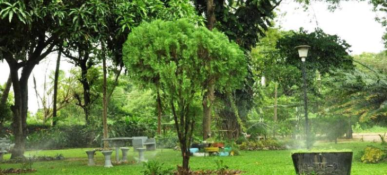 苏加塔游客休息旅馆(Sujatha Tourist Rest)图片