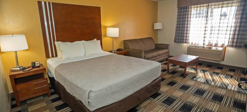 凯艺酒店 - 近医疗中心(Quality Inn Near Medical Center)图片