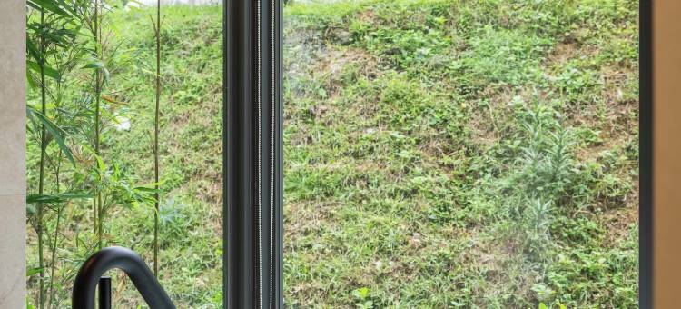 苏卡利 漫活图片