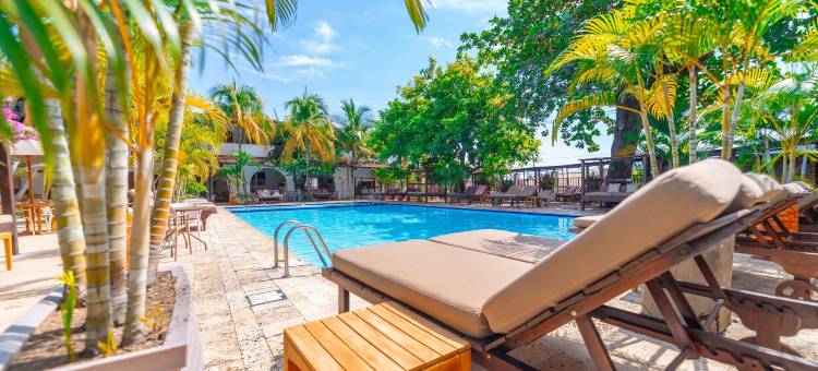 罗夫莱多元帅酒店(Hotel Mariscal Robledo)图片