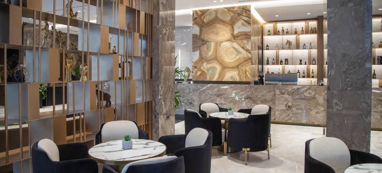 由Meliá附属的廷拉那埃丽莎酒店(Hotel Elisa Tirana, Affiliated by Meliá)图片