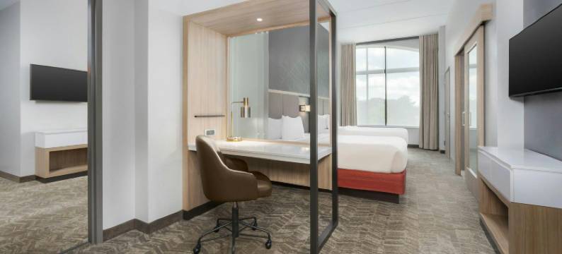 雅典市中心-大学区万豪SpringHill Suites酒店(SpringHill Suites Athens Downtown/University Area)图片