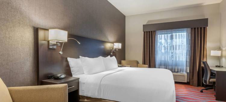 博伊西默尔迪恩舒适套房酒店(Comfort Suites Boise West Meridian)图片