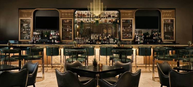 芝加哥密歇根大街格温豪华精选酒店(The Gwen, a Luxury Collection Hotel, Michigan Avenue Chicago)图片