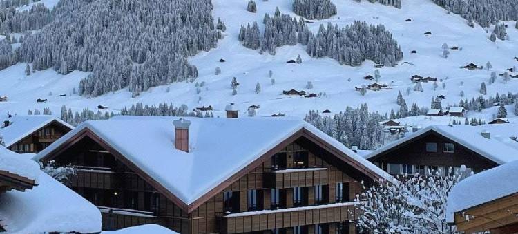 阿德博登酒店公寓(Apart Hotel Adelboden am Dorfplatz)图片
