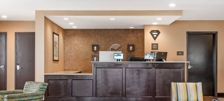 舒适酒店及套房-机场北(Comfort Inn & Suites Airport North)图片