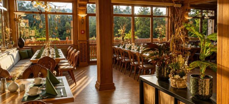 厄热塔尔瓦尔德酒店(Waldhotel Ehrental)图片
