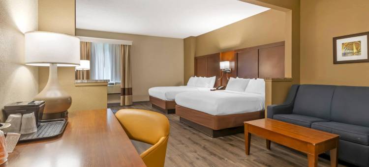 舒适套房酒店-大学(Comfort Suites at the University)图片