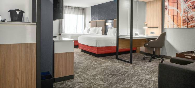 罗利埃佩克斯SpringHill Suites酒店(SpringHill Suites Raleigh Apex)图片
