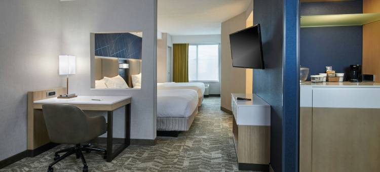 底特律南菲尔德万豪SpringHill酒店(SpringHill Suites Detroit Southfield)图片