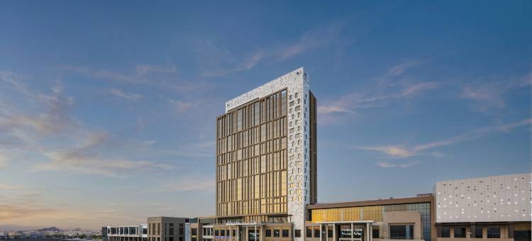 麦地那门希尔顿逸林酒店(DoubleTree by Hilton Madinah Gate)图片