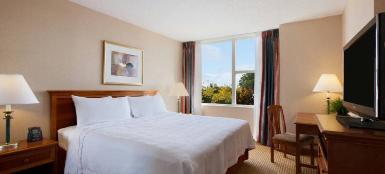 希尔顿福尔斯彻奇Homewood酒店(Homewood Suites by Hilton Falls Church-I-495 @ Rt. 50)图片