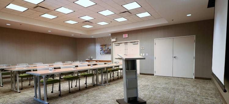 圣安东尼奥市阿拉莫广场／会议中心万豪SpringHill酒店(SpringHill Suites San Antonio Alamo Plaza/Convention Center)图片