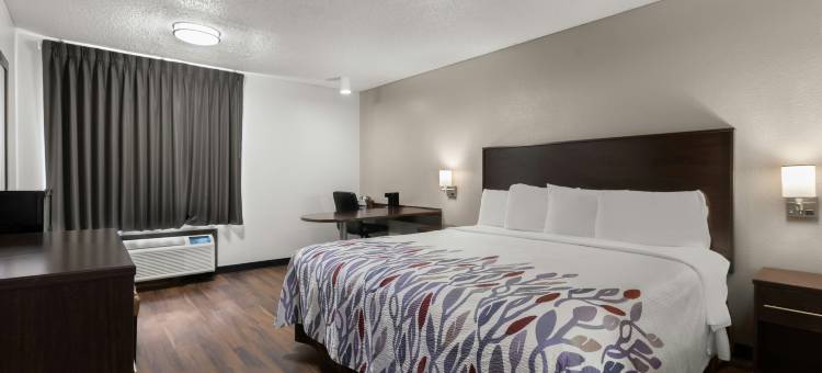 萨凡纳机场红屋顶客栈(Red Roof Inn & Suites Savannah Airport)图片