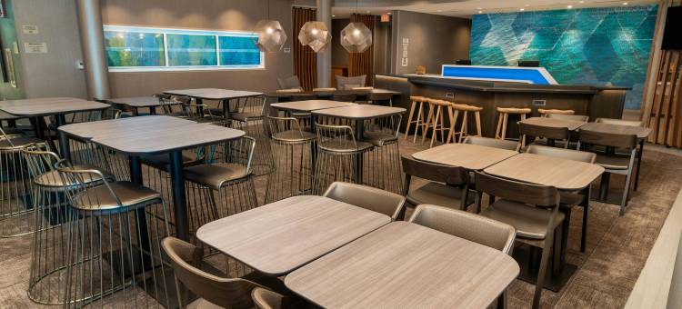 纽瓦克弗里蒙特SpringHill Suites酒店(SpringHill Suites Newark Fremont)图片
