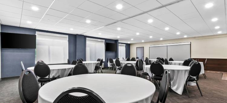 舒适套房酒店大布兰克/弗林特(Comfort Inn & Suites Grand Blanc-Flint)图片