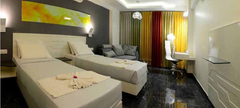 维杰埃兰萨酒店(Hotel Vijay Elanza)图片