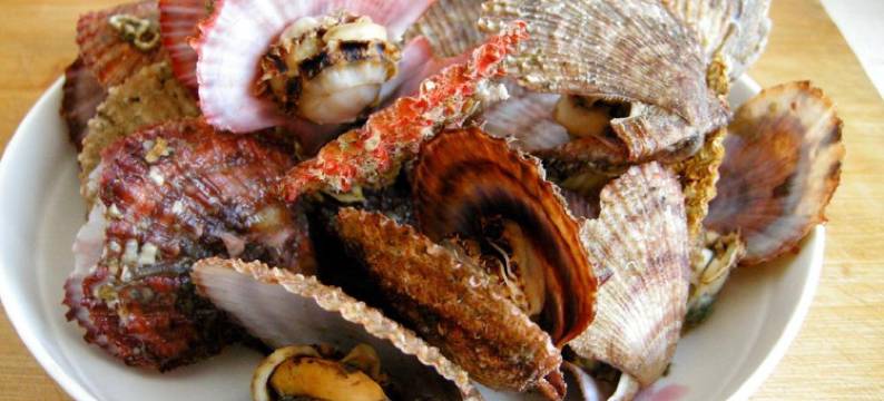 蓬莱行军古玩渔家客栈图片