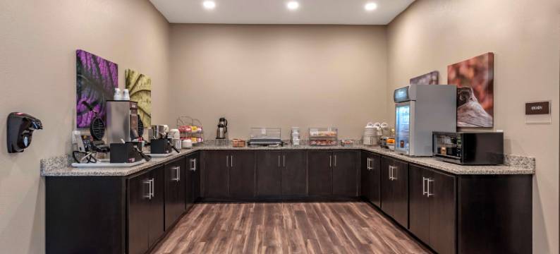 纽伯里-科瑞恩美茵斯坦套房酒店(MainStay Suites Newberry - Crane)图片