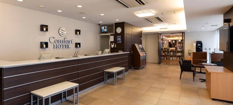 东京清澄白河舒适酒店(Comfort Hotel Tokyo Kiyosumi Shirakawa)图片