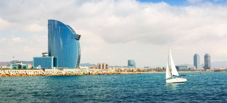 鲁西隆塞尔考特酒店(Sercotel Hotel Rosellon)图片